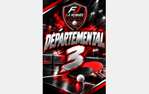 DÉPARTEMENTAL 3  EQUIPE 6
